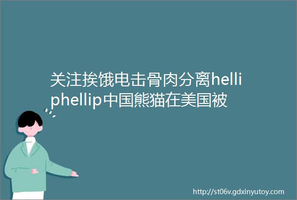 关注挨饿电击骨肉分离helliphellip中国熊猫在美国被虐待真相是这样